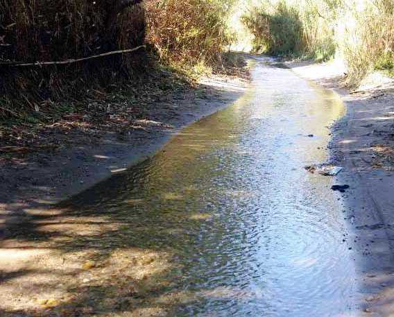In absence of roads, Hoshiarpur villagers wade through brook