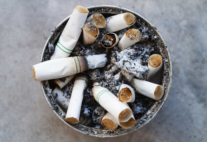 PIL claims cigarette butts harmful, HC seeks Centre''s reply
