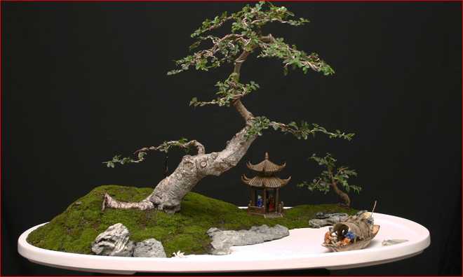 Do you have a penchant for Penjing?