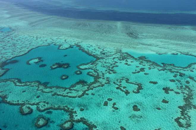Video shows rapid deterioration of Great Barrier Reef