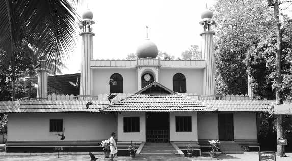 Enter the world of vidya – the first mosque of India