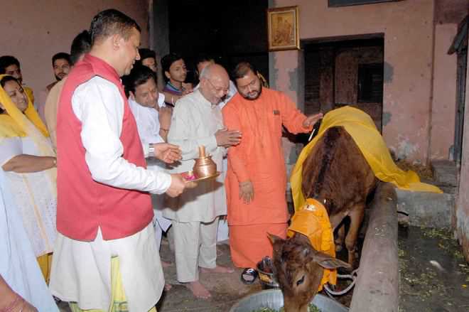 Saints for steps to protect cow