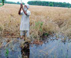 How farmer suicides end ‘up to Centre’