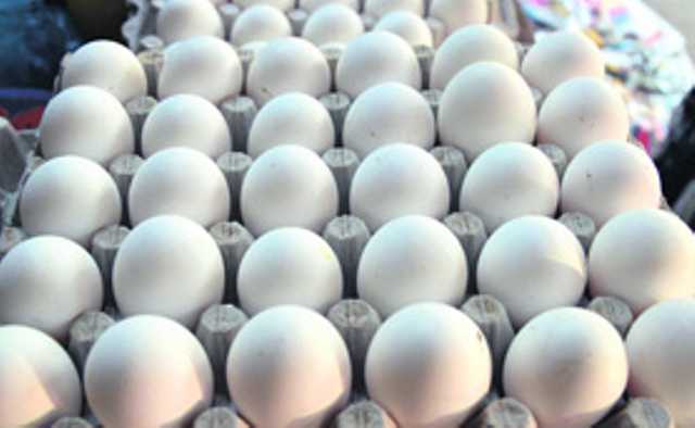Artificial plastic eggs seized in Kolkata, seller detained