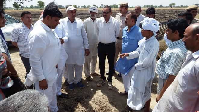 DC inspects wheat crop destroyed in fire - The Tribune