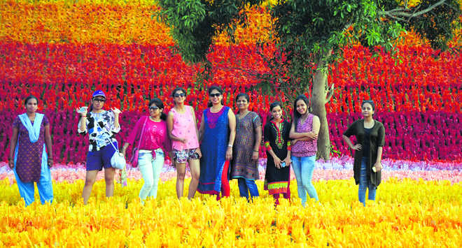 A ‘carpet of joy’ for Goa’s happiness