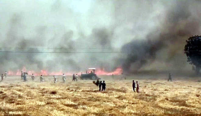 Fire destroys wheat on 200 acres in three districts
