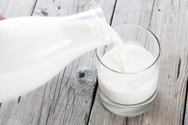 New quick-testing devices to check adulteration in milk, edible oil