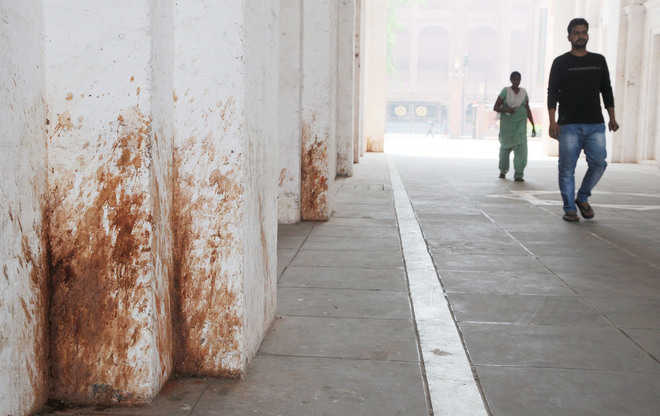 Paan stains give museum a shabby look