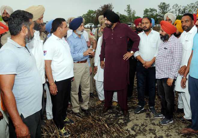 Sidhu to pay Rs 24 lakh to farmers who lost 300-acre crop in fire