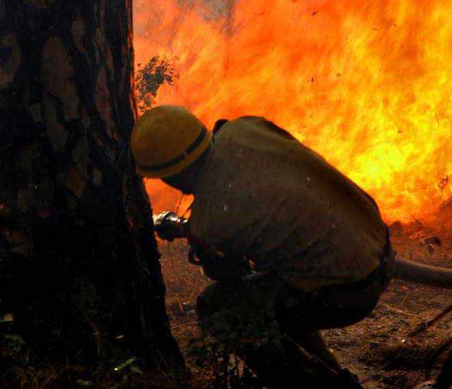 Pine forest fire in Dharamsala causes scare