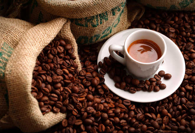 Italian-style coffee may halve prostate cancer risk