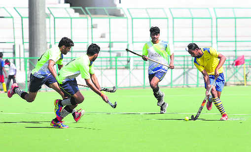 Punjab colts beat Haryana, enter semis