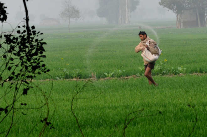 States need to distinguish between rich and poor farmers: CEA
