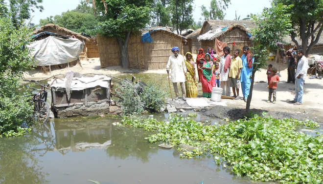 Drainage water a bane for  Fateh Jalal villagers