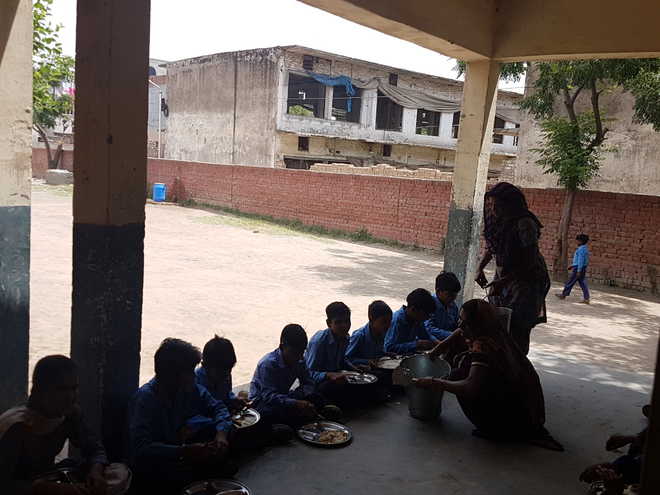 Children can''t eat, study here, courtesy houseflies