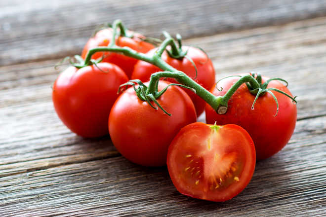 Tomato extracts can fight stomach cancer