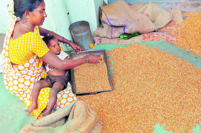 Buffer stock of pulses has become liability: Paswan