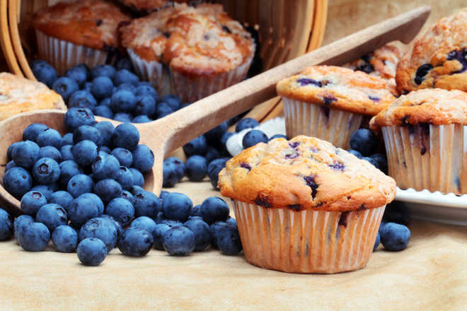 ''New blueberry muffin may lower heart disease risk''