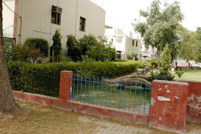 Encroachments on park land go on unabated