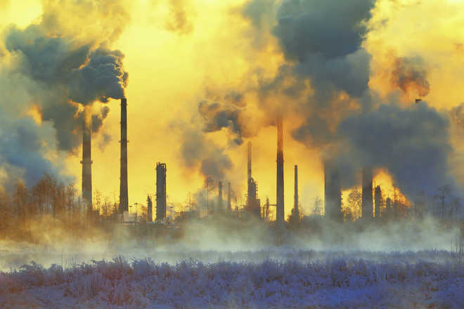 Air pollution may cause DNA damage in children