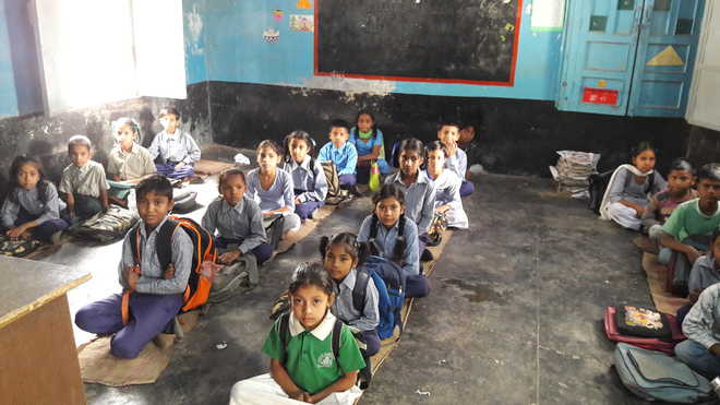 At Dappar, students learn the hard way