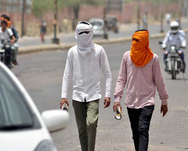 Heatwave claims one life in Jaipur, Sriganganagar sizzles at 48.3