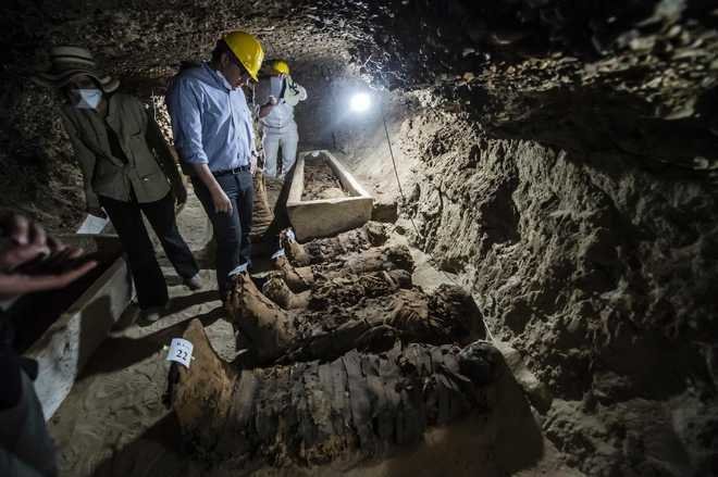 Egyptian mummies more European than African: DNA study