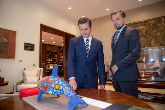 DiCaprio teams up with Mexican Prez to save endangered Porpoises