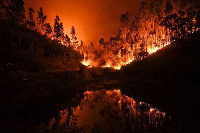 Huge forest fires kill 62 in Portugal