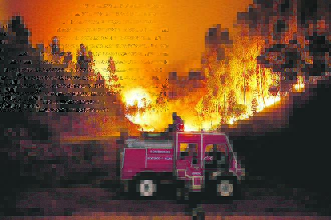 Portugal forest fires kill 62