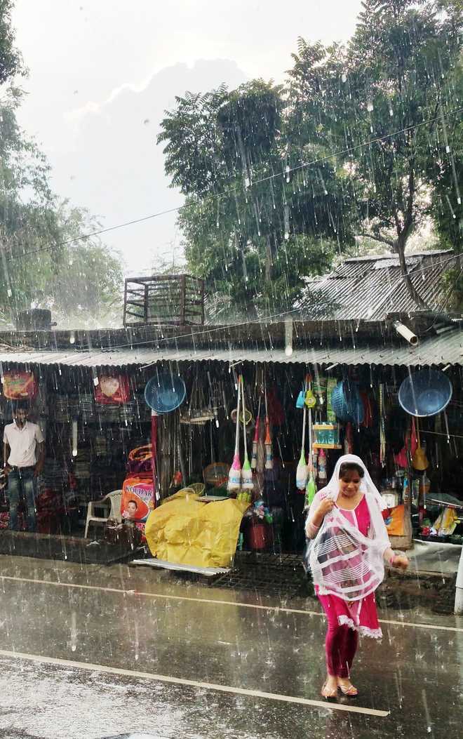 Kangra valley drenched, mercury drops