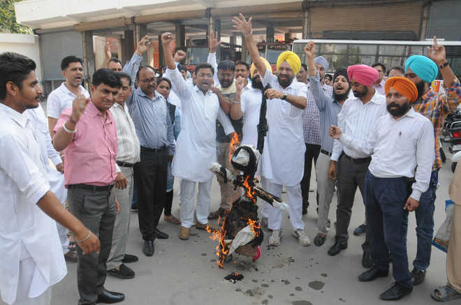 AAP burns effigy of govt, Speaker