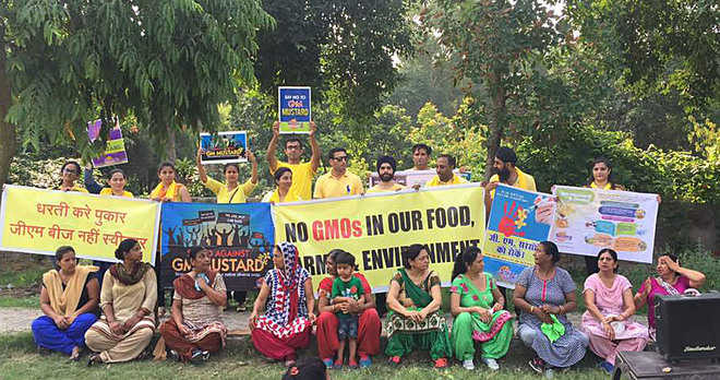 Protest held against genetically modified mustard crop