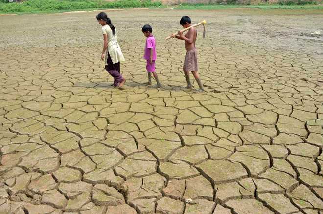 Centre approves drought relief fund of Rs 795 cr for K’taka
