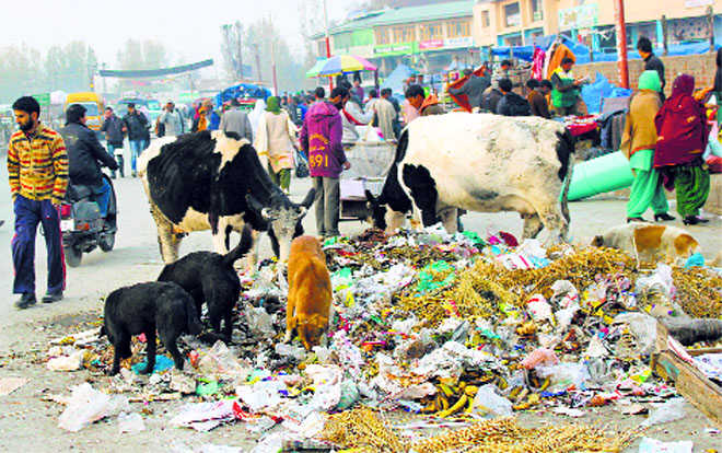 Solid waste management in Srinagar still on paper