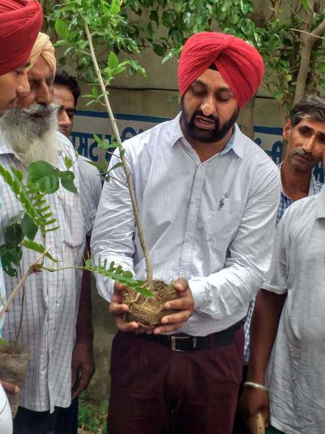 Reviving native trees of Punjab his mission