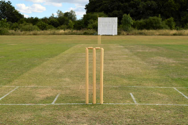 14 arrested for match-fixing in Rajasthan cricket league