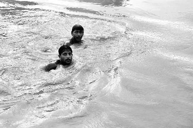 Karnal’s Karan, Arjun love to swim, save lives