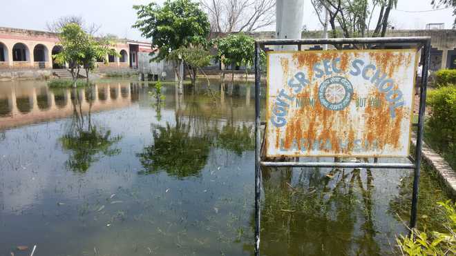 Rainwater floods school, hospital in Hisar village