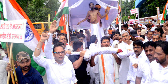 Cong enters cow politics, begins march to Delhi