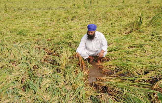 How Centre, state failed farmers on insurance