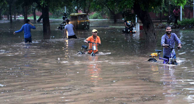 Waterlogging-prone spots identified : The Tribune India