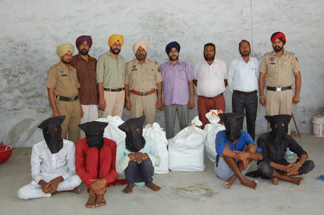 Gang of thieves busted, 5 arrested