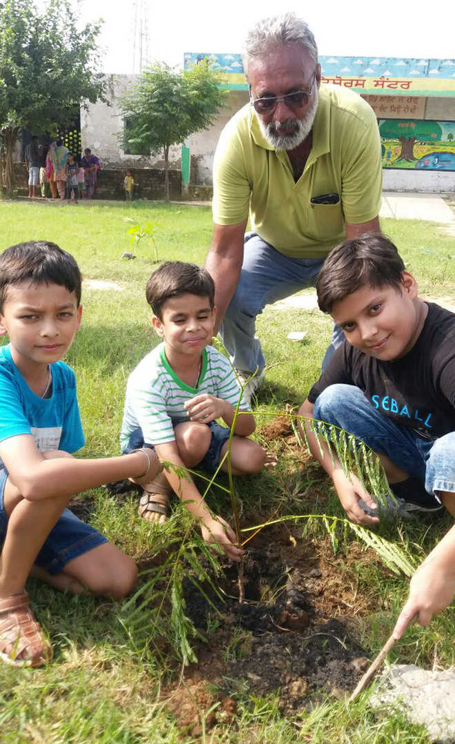 NGO carries out plantation drive