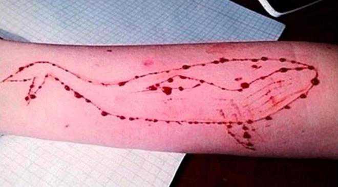 Remove ‘Blue Whale’ links: Govt to social sites