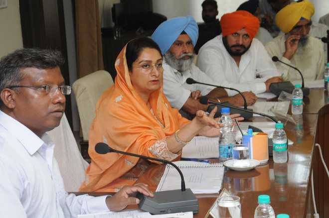 Harsimrat reviews ongoing works of Central Government