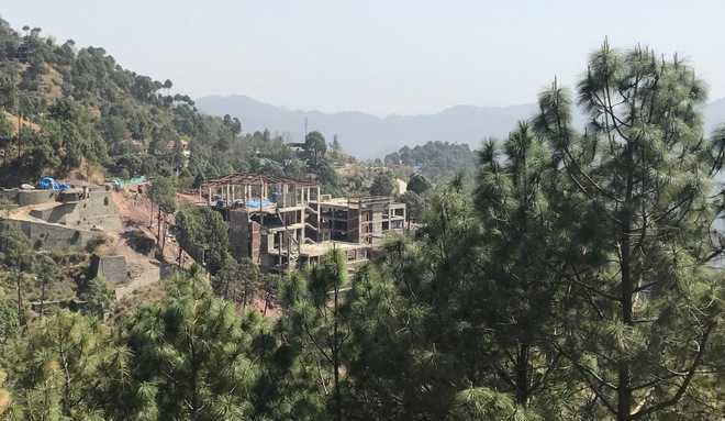 Kasauli getting finished due to illegal construction, SC told