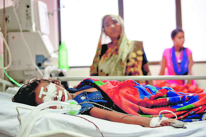 How a toxic system led to sudden deaths in UP