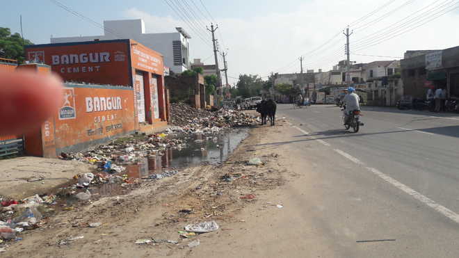 Sangrur stinks as waste not lifted for three days